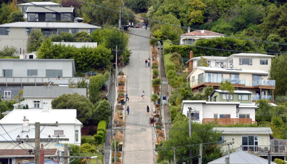 ダニーデン Sleep On The Steepest Street In The World! Bed & Breakfast エクステリア 写真