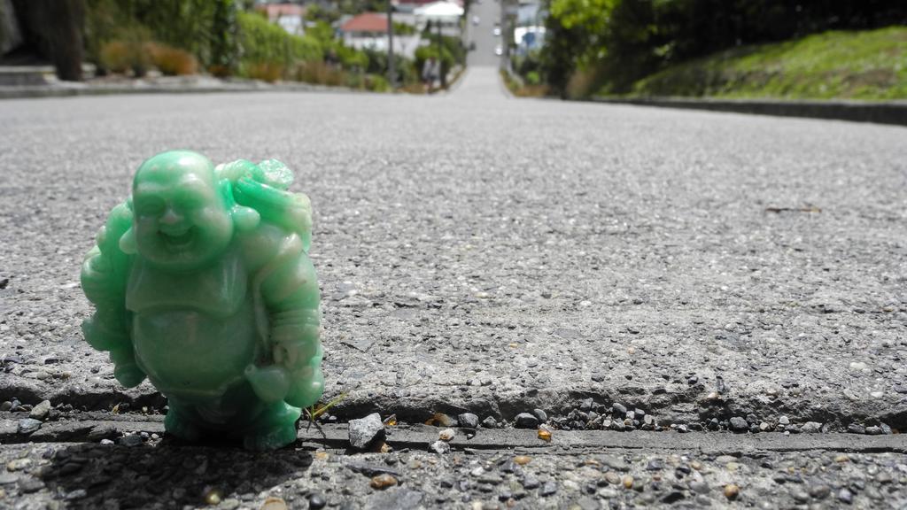 ダニーデン Sleep On The Steepest Street In The World! Bed & Breakfast エクステリア 写真